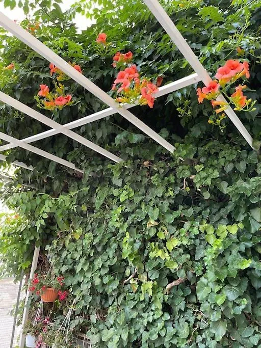 Navie Garden Getaway Peraia Apartment Near To Beach